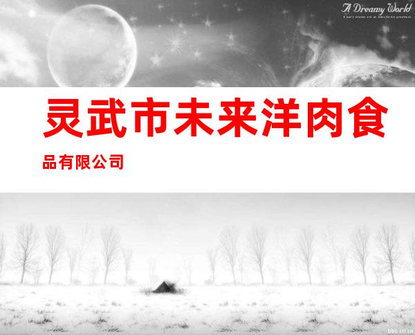 灵武市未来洋肉食品有限公司