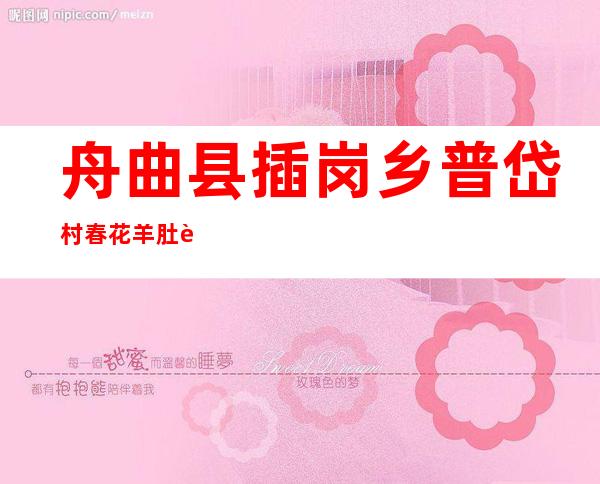 舟曲县插岗乡普岱村春花羊肚菌种植农民专业合作社